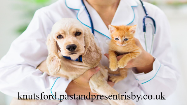 5 Universitas Jurusan Kedokteran Hewan Terbaik di Indonesia